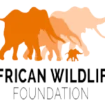 African Wildlife Foundation logo